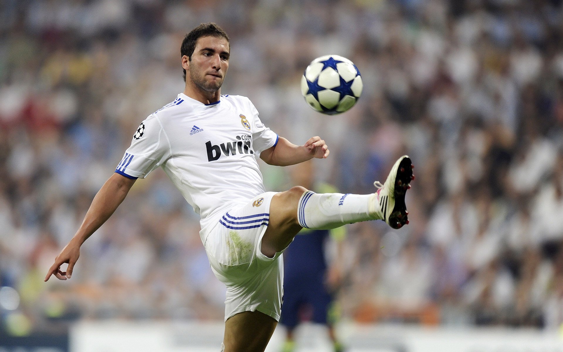 福特:全黑队的新生力量,逐步积累国际大赛经验,福特黑骑士价格图片