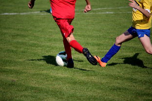 mk体育下载-国家体育科研院发布训练负荷管理指南 指导基层教练，训练负荷包括负荷量和什么